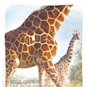 Pub signée  « Mégalo & Company » pour Nouvelles Frontières. La girafe porte le mot soldes à de nouvelles hauteurs !