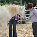 Le centre de formations Visions for Leaders propose des activités avec des chevaux pour améliorer ses compétences en leadership.