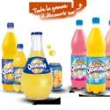 Orangina Schweppes restructure son SI vers le Cloud