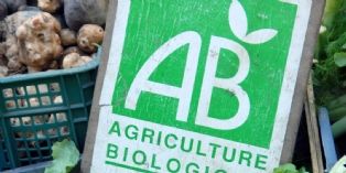 Paris : 50% d'aliments bio ou labellisés dans les crèches, d'ici à 2020