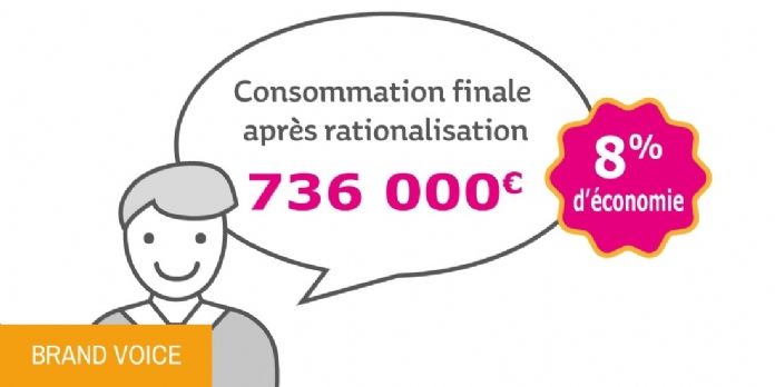 Les marques propres pour rationaliser ses achats indirects - infographie