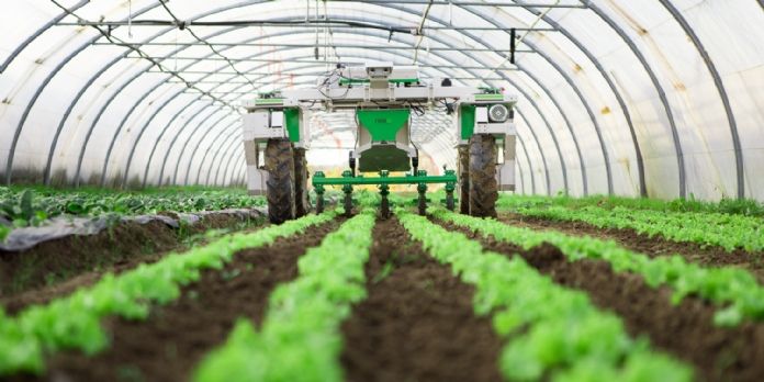 Dino, un robot aux petits soins pour les légumes