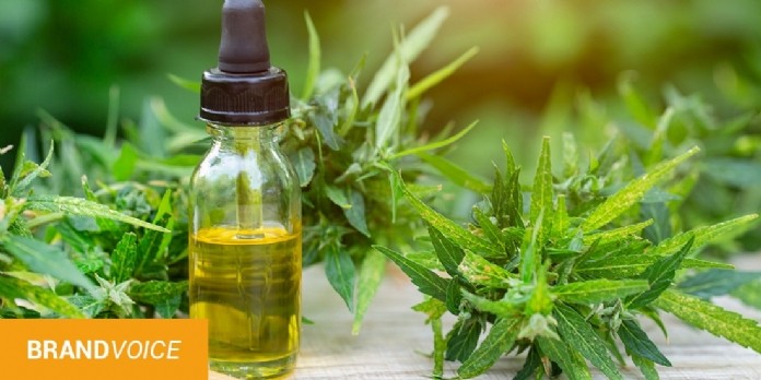 Une arrivée massive des grossistes CBD Français