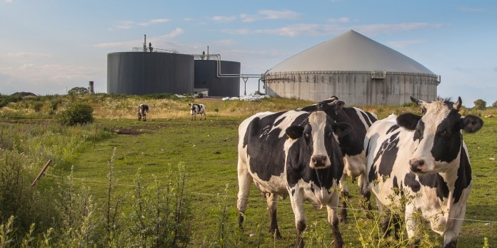 Salon de l'Agriculture : start-up et grands groupes face aux nouvelles tendances foodtech