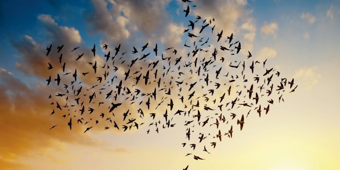 Cloud.... vers des migrations tous azimuts