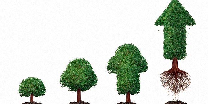 Les avantages économiques d'une chaîne d'approvisionnement durable