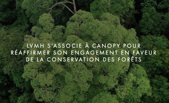 LVMH se mobilise pour la conservation des forêts