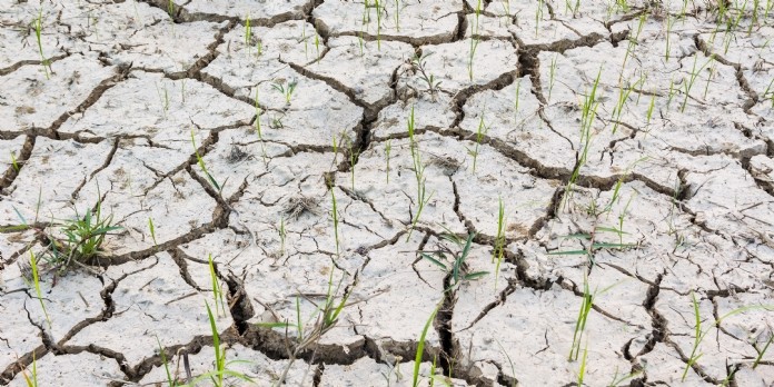 Changement climatique : mettre au point une agriculture durable pour réduire les risques