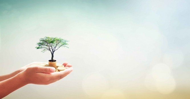 Achats responsables : un engagement de plus en plus fort