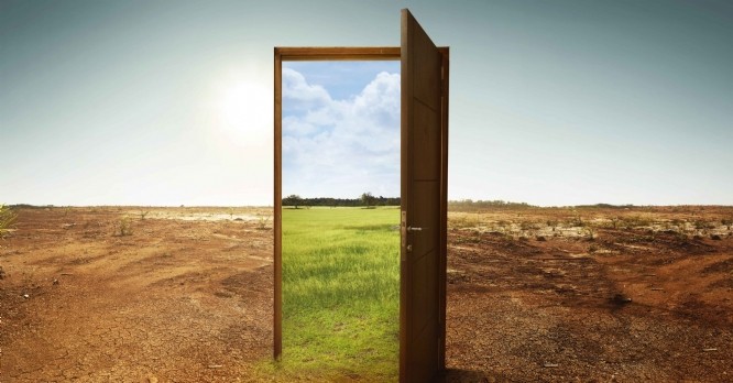 Impact carbone : planter pour compenser