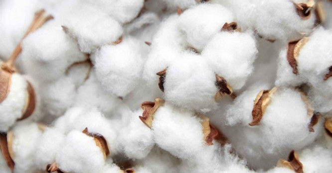 Industrie textile : 'L'étiquette made in Portugal a plus de sens'