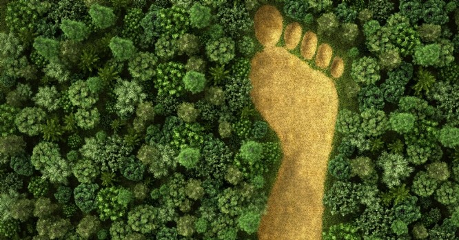 La Plateforme Régionale des Achats étudie l'impact RSE de la commande publique en PACA