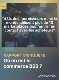 Couverture  "Où en est le commerce B2B ?" Rapport d'enquête sur la digitalisation des fournisseurs B2B.