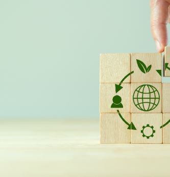 Transition Écologique en Entreprise : Risques, Opportunités et le Rôle Clé de l'Économie Circulaire